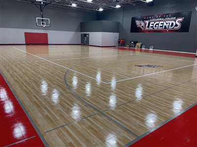 An indoor basketball court with a polished wood surface, red key areas, and a central logo.